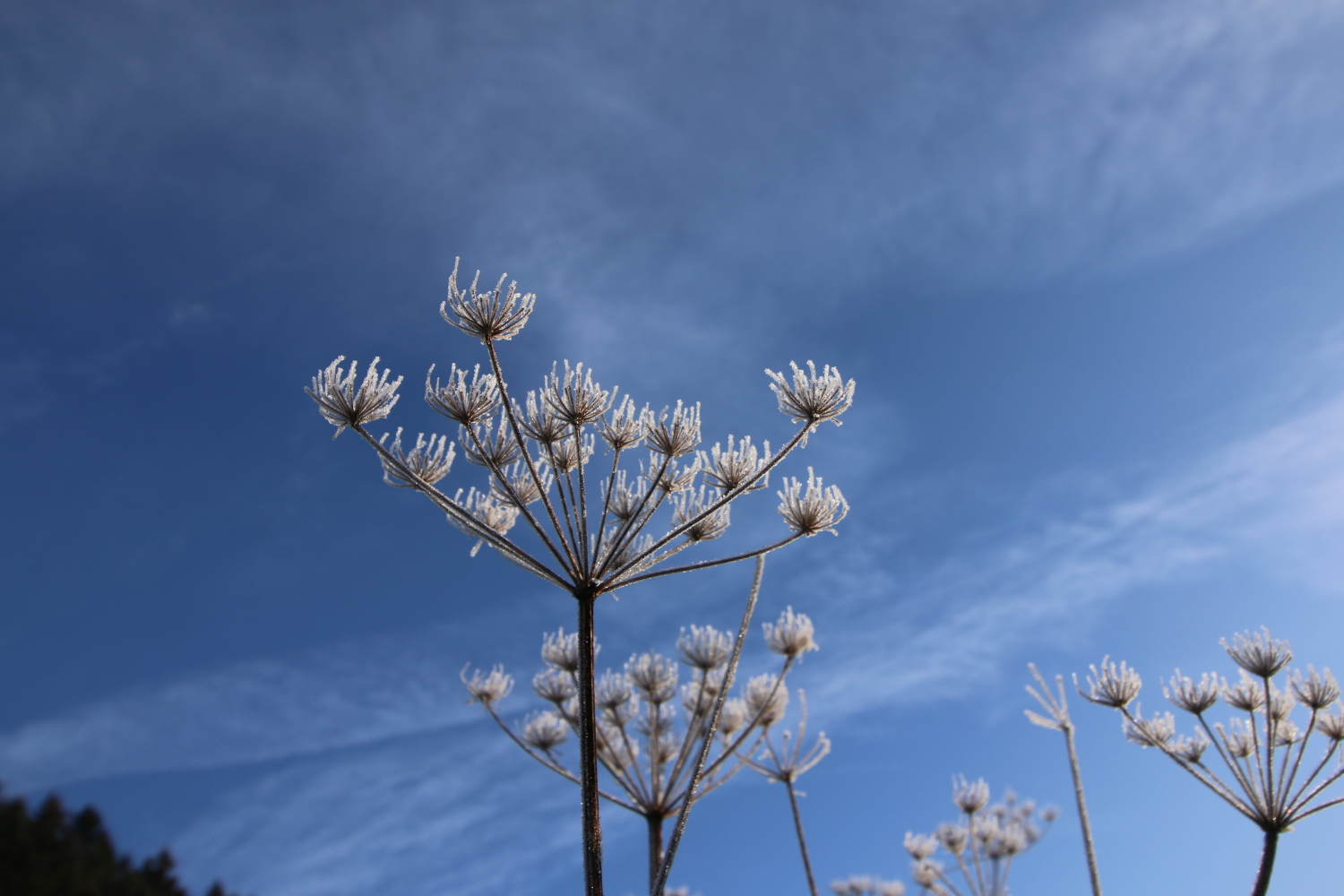 Hotel Kirchenwirt im Kaunertal